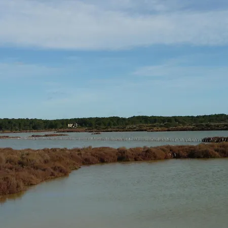 La Golondrina * Frontignan