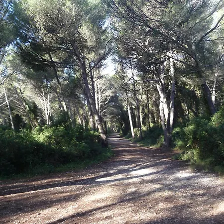La Golondrina Appartement Frontignan