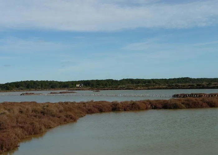 La Golondrina * Frontignan