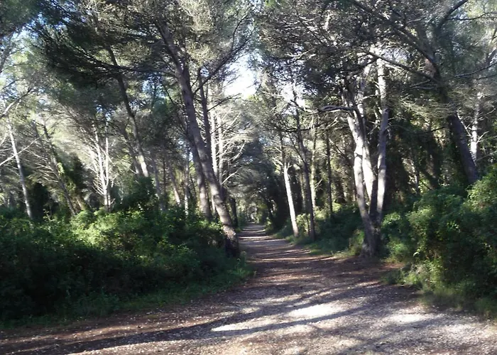 La Golondrina Appartement Frontignan