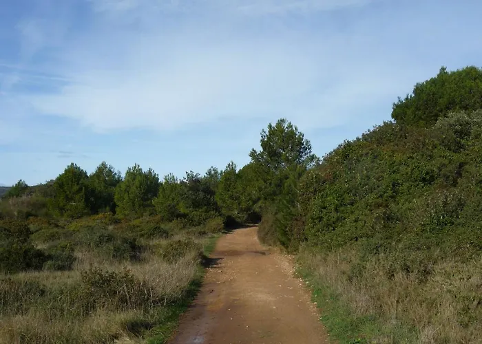 アパート La Golondrina *